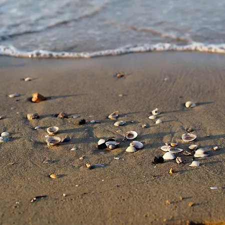 In The Quiet Area Of Lido Del Sole * Bibione